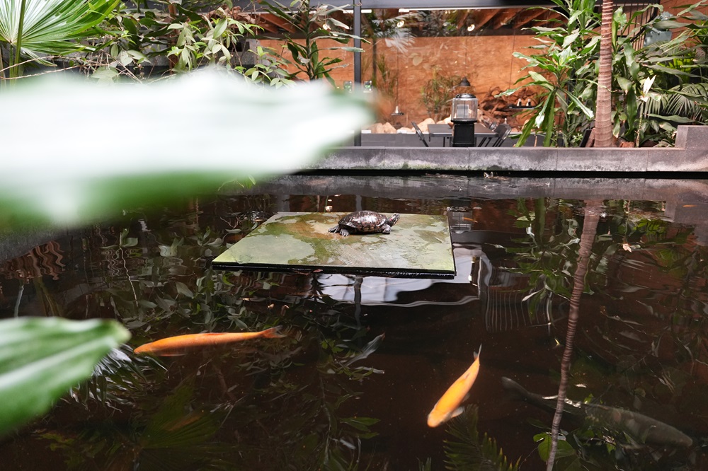Reptielenhuis De Aarde in Breda bezoeken met kids (review)
