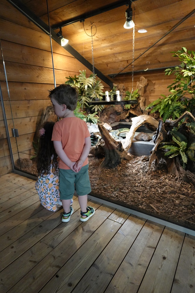 Reptielenhuis De Aarde in Breda bezoeken met kids (review)