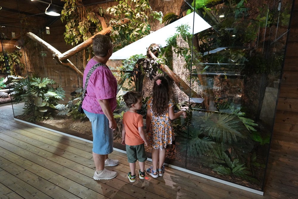 Reptielenhuis De Aarde in Breda bezoeken met kids (review)