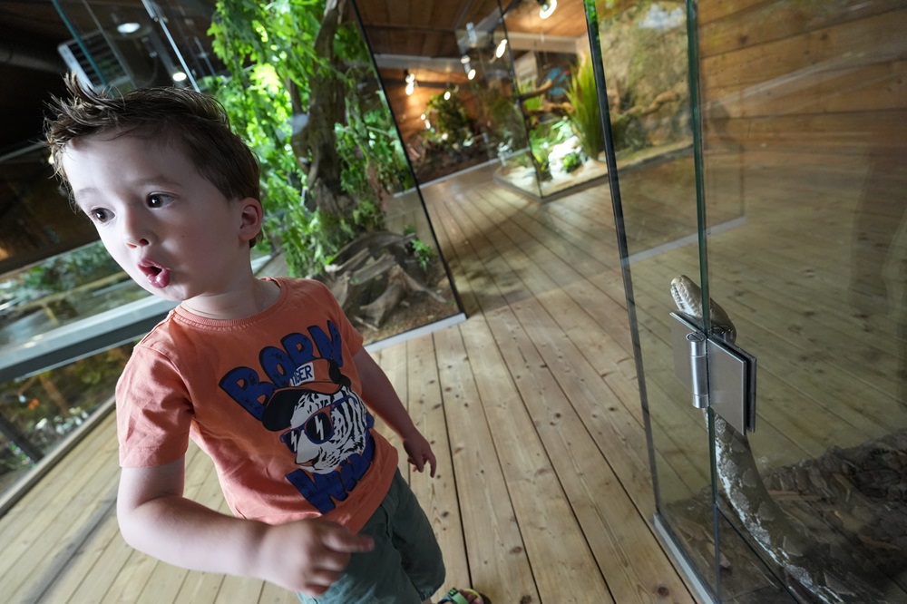 Reptielenhuis De Aarde in Breda bezoeken met kids (review)