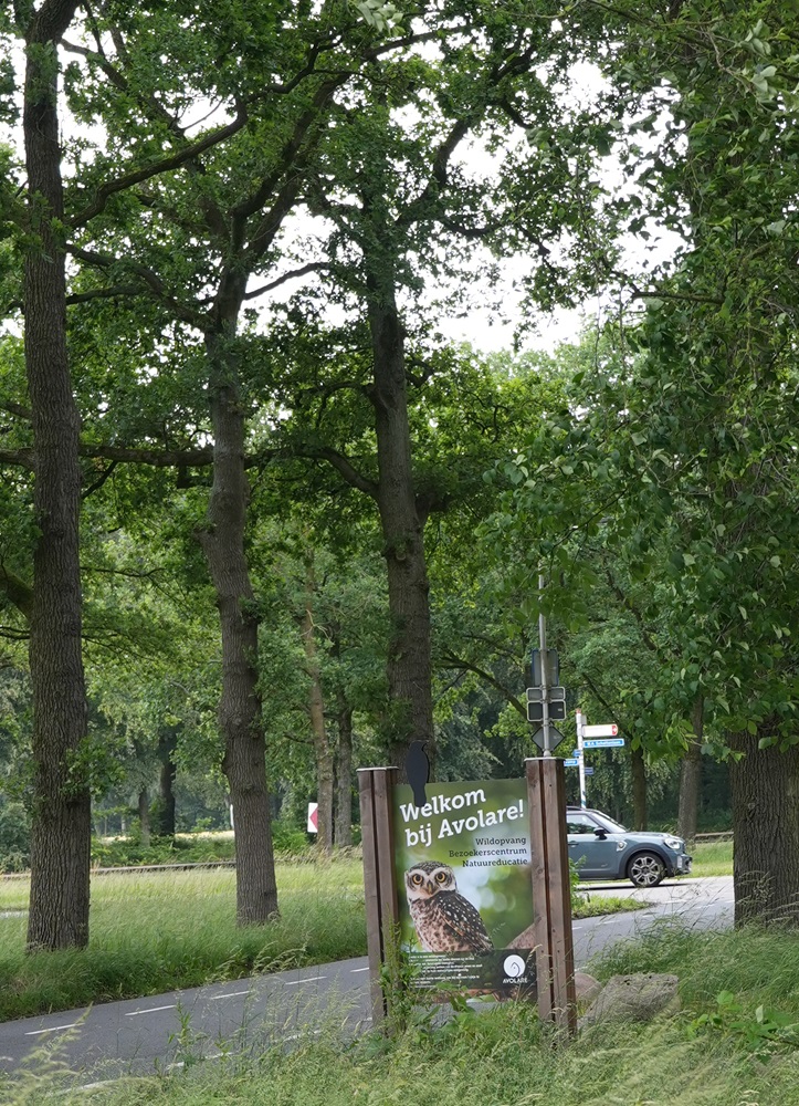 Het bezoekerscentrum van Wildopvang Avolare bezoeken met kids (review)