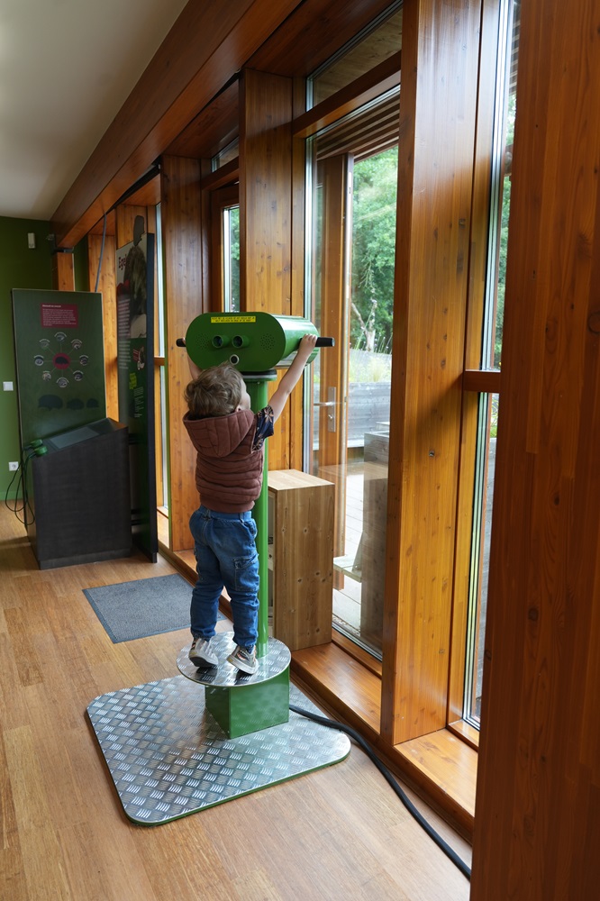 Het bezoekerscentrum van Wildopvang Avolare bezoeken met kids (review)