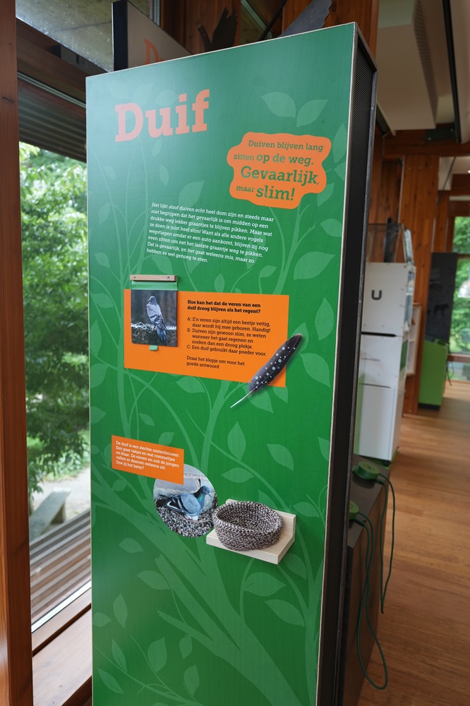 Het bezoekerscentrum van Wildopvang Avolare bezoeken met kids (review)