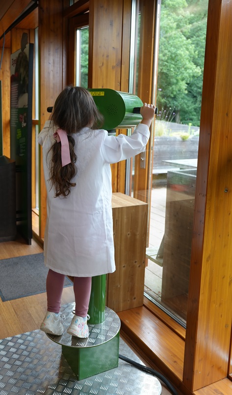 Het bezoekerscentrum van Wildopvang Avolare bezoeken met kids (review)