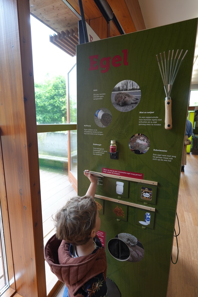 Het bezoekerscentrum van Wildopvang Avolare bezoeken met kids (review)
