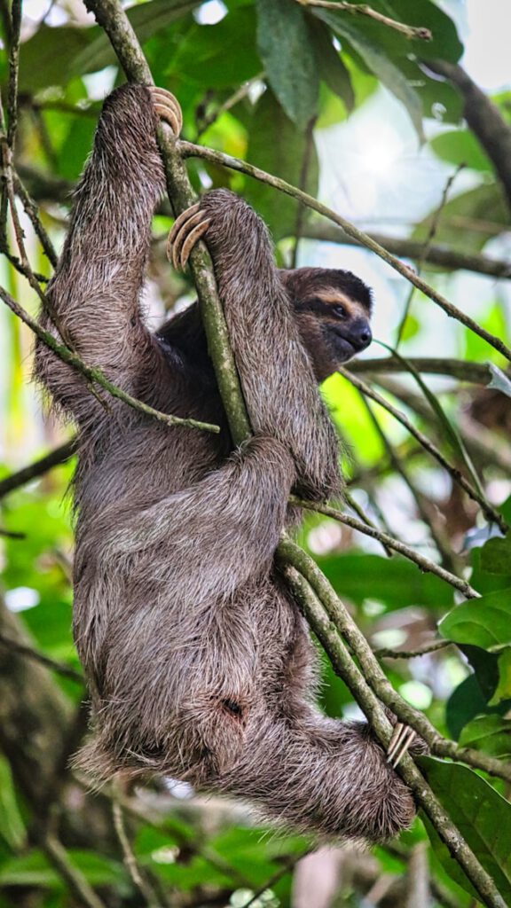 Costa Rica kan het gezinsavontuur zijn waar je naar zoekt