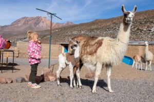 Peru met kinderen : meer dan 11 tips!