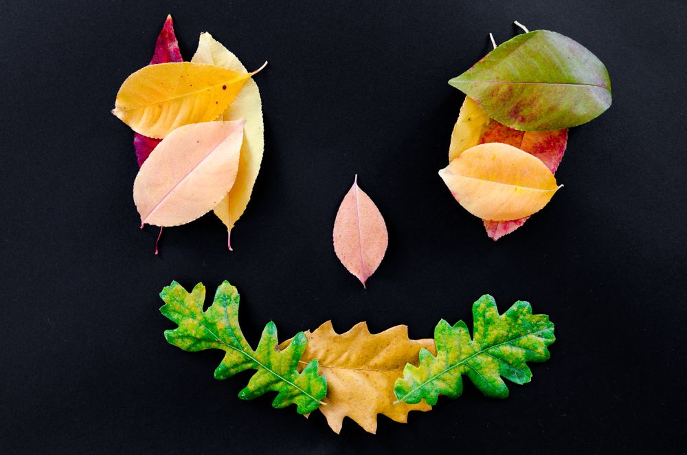 25 ideeën die je met herfst natuurmaterialen kunt maken