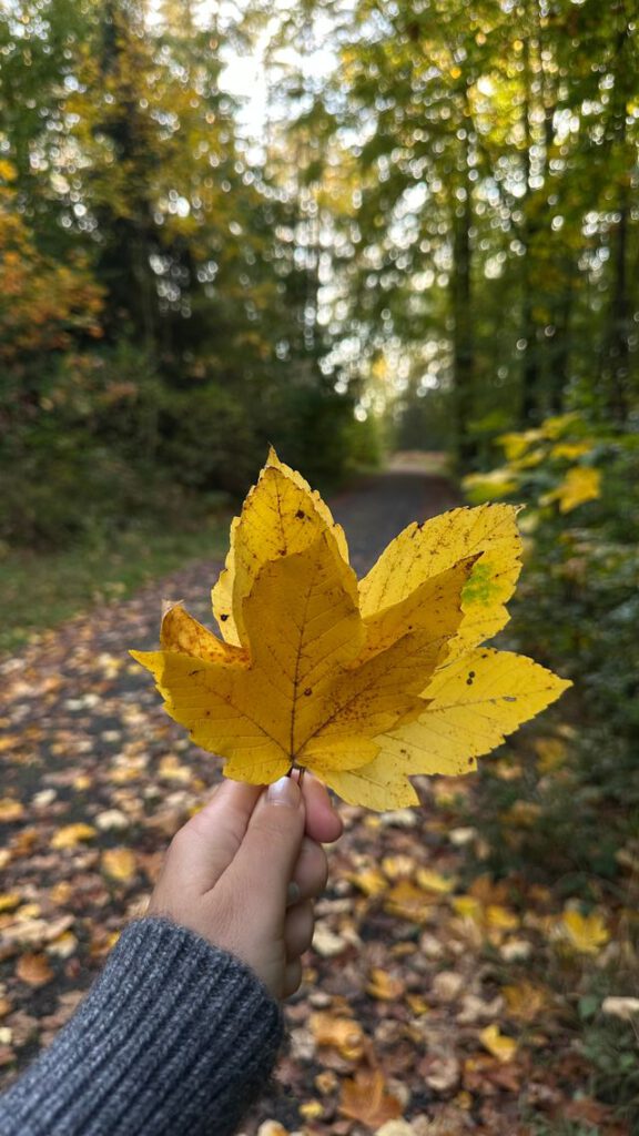 25 ideeën die je met herfst natuurmaterialen kunt maken