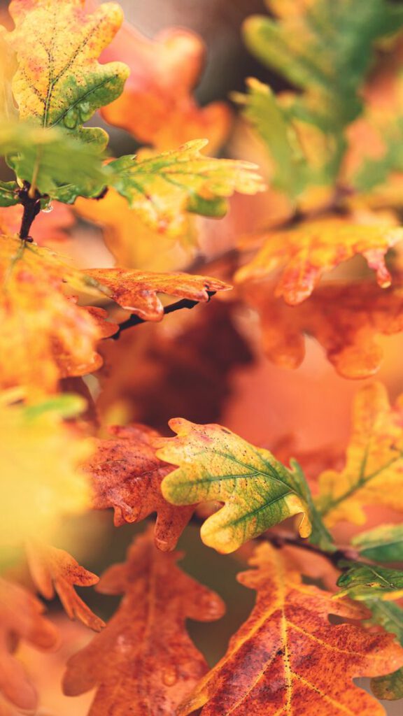 25 ideeën die je met herfst natuurmaterialen kunt maken
