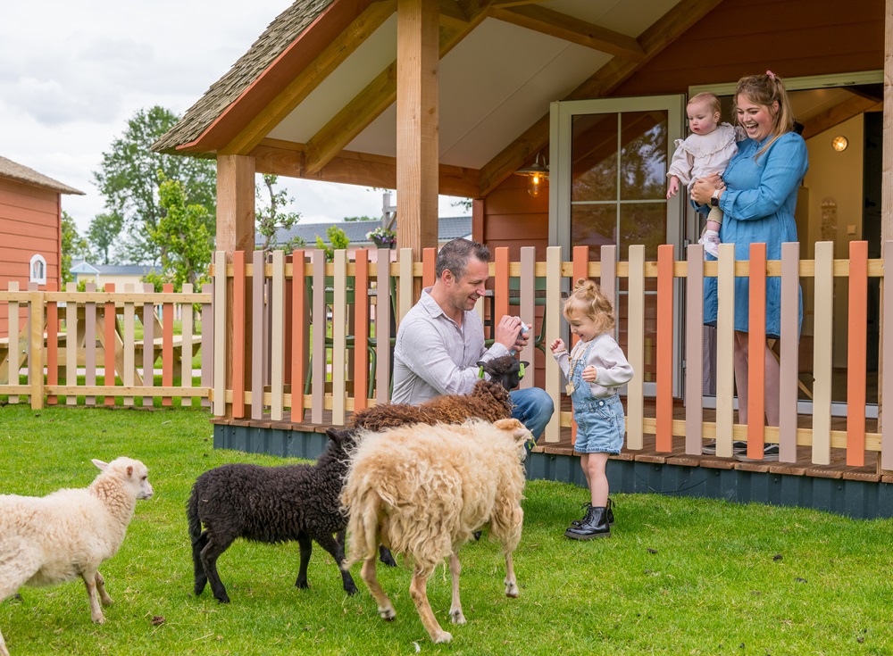 Ontdek Familie Resort Molenwaard en Avonturenboerderij Molenwaard