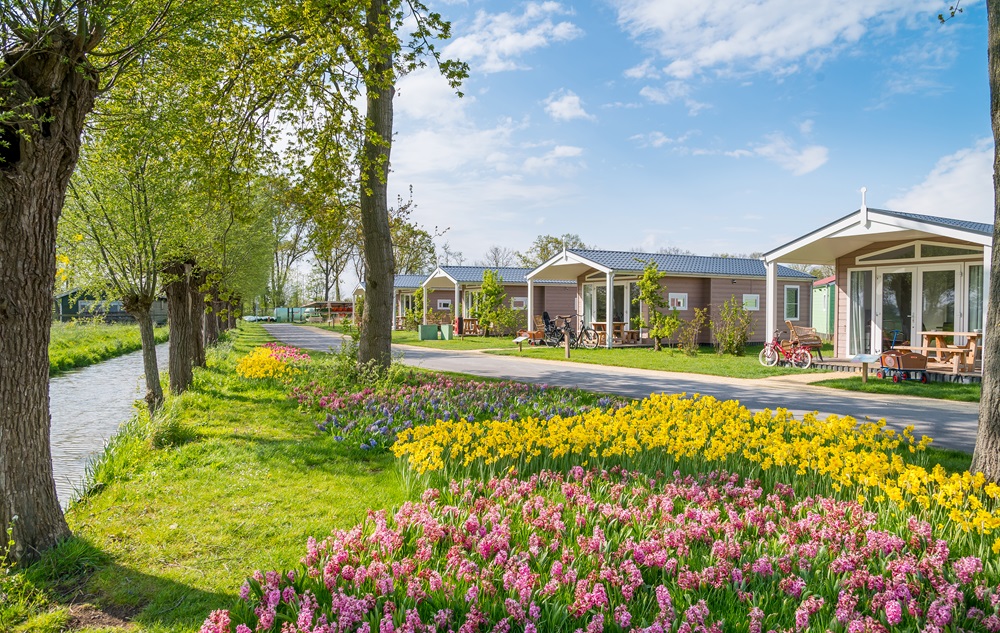 Ontdek Familie Resort Molenwaard en Avonturenboerderij Molenwaard